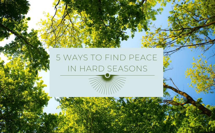 5 Ways to Find Peace in Hard Seasons